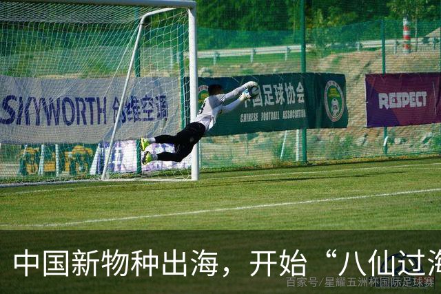 中国新物种出海，开始“八仙过海”