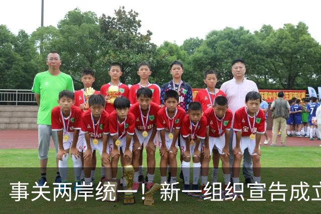 事关两岸统一！新一组织宣告成立，台残存 “邦交国”火速对华表态