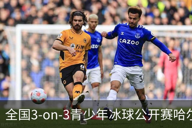 全国3-on-3青少年冰球公开赛哈尔滨赛区比赛收官-国际在线