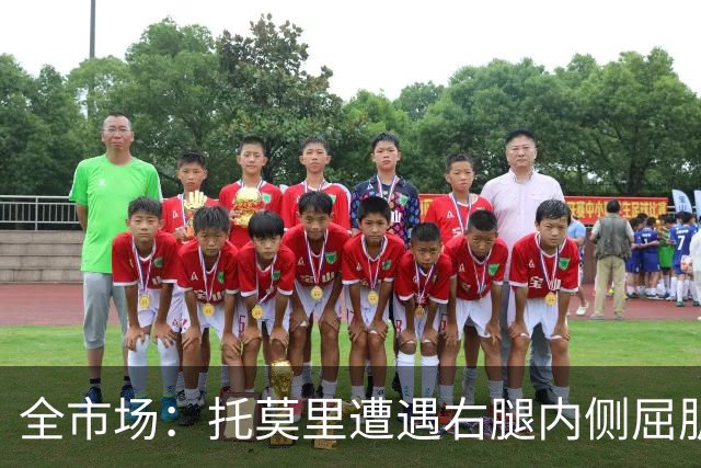 全市场：托莫里遭遇右腿内侧屈肌损伤，面临长达一个月左右伤停