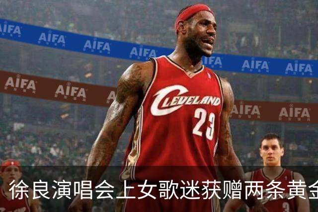 徐良演唱会上女歌迷获赠两条黄金小象项链，总重4.83克价值约6000元，当事人：第一次收到良哥的礼物，惊喜又幸运