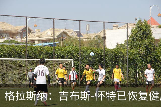 格拉斯纳：吉布斯-怀特已恢复健康，米伦科维奇也能首发
