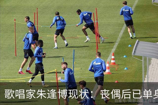 歌唱家朱逢博现状：丧偶后已单身18年，最怕摔跤拖累儿子