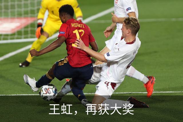 王虹，再获大奖