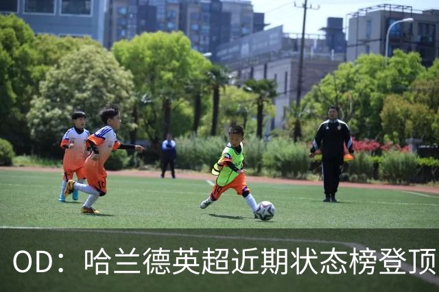 OD：哈兰德英超近期状态榜登顶，力压若昂·佩德罗